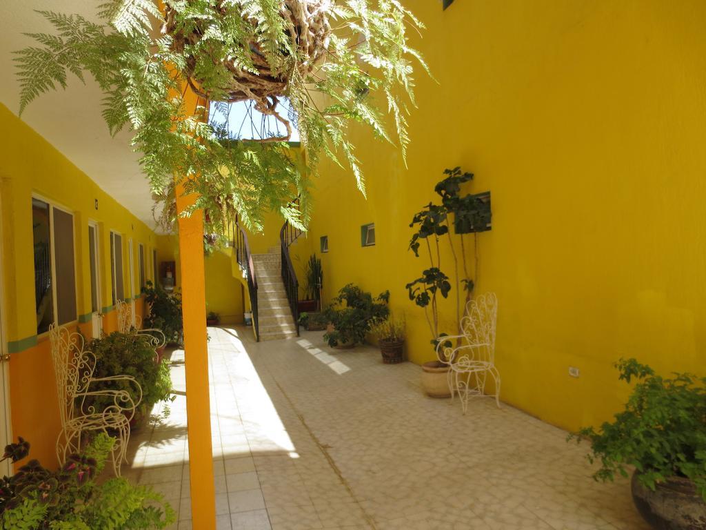 Hotel Maria Esther Matehuala Exterior photo